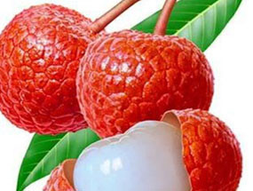 Quả vải: Trong quả vải hàm lượng các khoáng chất như magie, kali và một số vitamin, đặc biệt là vitamin C rất phong phú. Vì thế ăn vải sẽ tốt cho hệ thống miễn dịch của con người. Không những thế, quả vải còn có tác dụng thẩm mỹ, làm da trắng hồng và mịn màng. (Ảnh: GĐ) Xem thêm: "Thần dược" quanh ta: Ngô bắp ngon, rẻ và chống ung thư hiệu quả Quả vải: Trong quả vải hàm lượng các khoáng chất như magie, kali và một số vitamin, đặc biệt là vitamin C rất phong phú. Vì thế ăn vải sẽ tốt cho hệ thống miễn dịch của con người. Không những thế, quả vải còn có tác dụng thẩm mỹ, làm da trắng hồng và mịn màng. (Ảnh: GĐ) Xem thêm: "Thần dược" quanh ta: Ngô bắp ngon, rẻ và chống ung thư hiệu quả