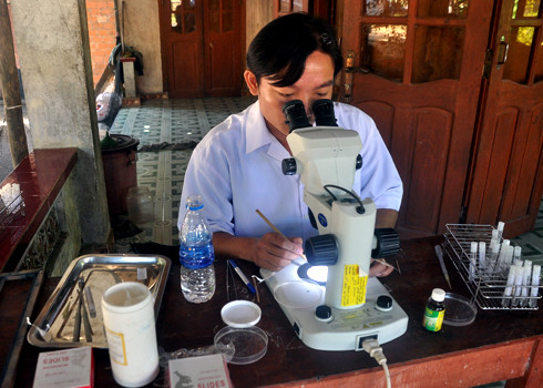 Cán bộ Viện sốt rét - ký sinh trùng Quy Nhơn xét nghiệm côn trùng tìm nguyên nhân gây bệnh. Xem thêm: Những “cặp đôi không hoàn hảo" dễ khiến người ăn... nhập viện Cán bộ Viện sốt rét - ký sinh trùng Quy Nhơn xét nghiệm côn trùng tìm nguyên nhân gây bệnh. Xem thêm: Những “cặp đôi không hoàn hảo" dễ khiến người ăn... nhập viện