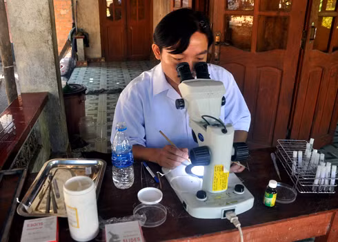 Cán bộ Viện sốt rét - ký sinh trùng Quy Nhơn xét nghiệm côn trùng tìm nguyên nhân gây bệnh. Xem thêm: Những “cặp đôi không hoàn hảo" dễ khiến người ăn... nhập viện