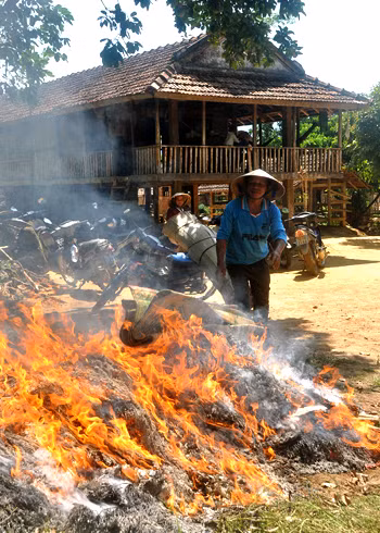 Bộ Y tế cấp chiếu mới nên người dân mang chiếu cũ trong nhà đi đốt diệt bọ chét gây bệnh. Xem thêm: Những “cặp đôi không hoàn hảo" dễ khiến người ăn... nhập viện