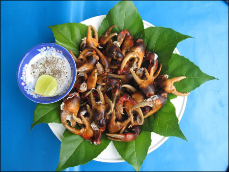 Chữa sưng tấy: Mai cua 10 g sao vàng, vảy tê tê 10 g sao phồng rộp; gai bồ kết 10 g phơi sấy khô. Tất cả tán bột, uống với rượu. (Ảnh: In) Xem thêm: Cảm kích: Cùng ăn, cùng ở với dân vùng có bệnh viêm da lạ Chữa sưng tấy: Mai cua 10 g sao vàng, vảy tê tê 10 g sao phồng rộp; gai bồ kết 10 g phơi sấy khô. Tất cả tán bột, uống với rượu. (Ảnh: In) Xem thêm: Cảm kích: Cùng ăn, cùng ở với dân vùng có bệnh viêm da lạ