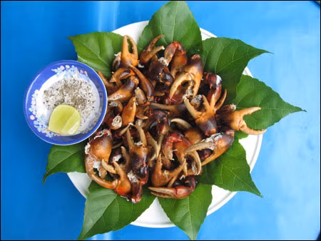 Chữa sưng tấy: Mai cua 10 g sao vàng, vảy tê tê 10 g sao phồng rộp; gai bồ kết 10 g phơi sấy khô. Tất cả tán bột, uống với rượu. (Ảnh: In) Xem thêm: Cảm kích: Cùng ăn, cùng ở với dân vùng có bệnh viêm da lạ