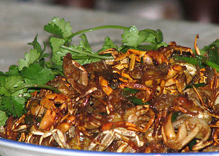 Chữa viêm vú cấp: Mai cua 10 cái. Rang mai cua cho chín, vàng sẫm, tán bột mịn ngày uống 2 lần, mỗi lần 9g, dùng 150g nước sôi pha với một nửa lượng rượu như thế, chia 2 lần uống trong ngày, uống 2 - 3 ngày. (Ảnh: In) Xem thêm: Cảm kích: Cùng ăn, cùng ở với dân vùng có bệnh viêm da lạ Chữa viêm vú cấp: Mai cua 10 cái. Rang mai cua cho chín, vàng sẫm, tán bột mịn ngày uống 2 lần, mỗi lần 9g, dùng 150g nước sôi pha với một nửa lượng rượu như thế, chia 2 lần uống trong ngày, uống 2 - 3 ngày. (Ảnh: In) Xem thêm: Cảm kích: Cùng ăn, cùng ở với dân vùng có bệnh viêm da lạ