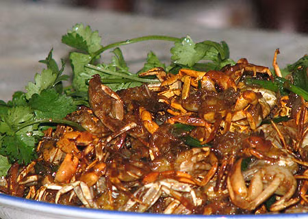 Chữa viêm vú cấp: Mai cua 10 cái. Rang mai cua cho chín, vàng sẫm, tán bột mịn ngày uống 2 lần, mỗi lần 9g, dùng 150g nước sôi pha với một nửa lượng rượu như thế, chia 2 lần uống trong ngày, uống 2 - 3 ngày. (Ảnh: In) Xem thêm: Cảm kích: Cùng ăn, cùng ở với dân vùng có bệnh viêm da lạ