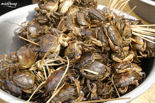 Sách Nam dược thần hiệu của Tuệ Tĩnh ghi: điền giải có vị mặn, mùi tanh, tính hàn, tác dụng liền gân, nối xương, trị nhiệt tả, ngộ độc, máu kết cục, lở ghẻ. Sách Dược tính chỉ nam của ông ghi: điền giải có tác dụng tán tà nhiệt trong lồng ngực, thông được kinh mạch, làm cho năm tạng khỏi buồn phiền, giải được độc do thức ăn, liền được gân, thêm sức cho xương, bổ ích khí lực, tống được các vật kết đọng trong người, phá được chứng ứ huyết do vấp ngã hoặc bị đánh chấn thương, sốt rét...(Ảnh: In) Xem thêm: Cảm kích: Cùng ăn, cùng ở với dân vùng có bệnh viêm da lạ Sách Nam dược thần hiệu của Tuệ Tĩnh ghi: điền giải có vị mặn, mùi tanh, tính hàn, tác dụng liền gân, nối xương, trị nhiệt tả, ngộ độc, máu kết cục, lở ghẻ. Sách Dược tính chỉ nam của ông ghi: điền giải có tác dụng tán tà nhiệt trong lồng ngực, thông được kinh mạch, làm cho năm tạng khỏi buồn phiền, giải được độc do thức ăn, liền được gân, thêm sức cho xương, bổ ích khí lực, tống được các vật kết đọng trong người, phá được chứng ứ huyết do vấp ngã hoặc bị đánh chấn thương, sốt rét...(Ảnh: In) Xem thêm: Cảm kích: Cùng ăn, cùng ở với dân vùng có bệnh viêm da lạ