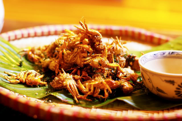 Nếu sán cư trú ở não thì thường gây cơn động kinh, ở gan thì tạo ápxe gan. Tại Việt Nam, từng có một số người dân ở vùng Thanh Hoá, Bắc Giang, Nghệ An... vì muốn dẻo dai trong các cuộc thi đấu vật nên đã uống nước cua đồng sống và bị bệnh sán lá phổi. (Ảnh: In) Xem thêm: Cảm kích: Cùng ăn, cùng ở với dân vùng có bệnh viêm da lạ Nếu sán cư trú ở não thì thường gây cơn động kinh, ở gan thì tạo ápxe gan. Tại Việt Nam, từng có một số người dân ở vùng Thanh Hoá, Bắc Giang, Nghệ An... vì muốn dẻo dai trong các cuộc thi đấu vật nên đã uống nước cua đồng sống và bị bệnh sán lá phổi. (Ảnh: In) Xem thêm: Cảm kích: Cùng ăn, cùng ở với dân vùng có bệnh viêm da lạ