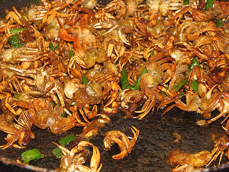 Chữa trẻ em hở thóp: Cua đồng 1 con, bạch cập 10g (cây - vị thuốc đông y), rửa sạch cua, cùng với bạch cập giã nhỏ đắp vào thóp của trẻ, dùng vải mỏng buộc lại, thuốc được buộc vào thóp trẻ 10 tiếng, sau đó bỏ đi, 2 ngày sau buộc miếng thứ 2, buộc trong 5 lần. (Ảnh: In) Xem thêm: Cảm kích: Cùng ăn, cùng ở với dân vùng có bệnh viêm da lạ