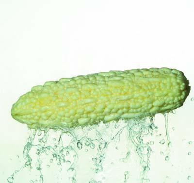 Điều trị bệnh nhọt, người cao tuổi bị đái tháo đường biến chứng võng mạc: khổ qua 100g, bắp 100g, đường phèn 10g. Khổ qua và bắp lần lượt rửa sạch, hai thứ cùng cho vào nồi, đổ nước vừa đủ, bắc lên bếp, đun sôi bằng lửa mạnh, chuyển lửa ninh chè, khi chín, nêm đường phèn cho tan đều. Mỗi ngày chia dùng sáng và chiều. Xem thêm: Dứa: ngon, rẻ, giàu vitamin C, chất xơ...tốt cho bé và cả ông bà Điều trị bệnh nhọt, người cao tuổi bị đái tháo đường biến chứng võng mạc: khổ qua 100g, bắp 100g, đường phèn 10g. Khổ qua và bắp lần lượt rửa sạch, hai thứ cùng cho vào nồi, đổ nước vừa đủ, bắc lên bếp, đun sôi bằng lửa mạnh, chuyển lửa ninh chè, khi chín, nêm đường phèn cho tan đều. Mỗi ngày chia dùng sáng và chiều. Xem thêm: Dứa: ngon, rẻ, giàu vitamin C, chất xơ...tốt cho bé và cả ông bà