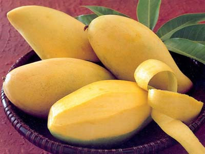 Vỏ quả xoài giúp cầm máu ở các trường hợp chảy máu: Ho, nôn, đại tiểu tiện, rong kinh... Vỏ quả xoài chín khoảng 30 g sắc nước uống, hoặc nấu thành cao lỏng rồi lấy ra pha loãng để uống. Uống mỗi lần 1 thìa con (thìa cà phê 15 ml), cách nhau vài giờ. Xem thêm: Dứa: ngon, rẻ, giàu vitamin C, chất xơ... "đệ nhất trái cây" ngày hè? Vỏ quả xoài giúp cầm máu ở các trường hợp chảy máu: Ho, nôn, đại tiểu tiện, rong kinh... Vỏ quả xoài chín khoảng 30 g sắc nước uống, hoặc nấu thành cao lỏng rồi lấy ra pha loãng để uống. Uống mỗi lần 1 thìa con (thìa cà phê 15 ml), cách nhau vài giờ. Xem thêm: Dứa: ngon, rẻ, giàu vitamin C, chất xơ... "đệ nhất trái cây" ngày hè?