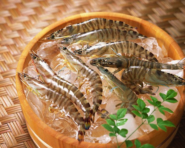 Hải sản thừa cần phải lưu trữ lạnh: Hải sản còn thừa muốn lưu trữ lại cần được bảo quản trong tủ đá. Khi sử dụng trong bữa ăn kế tiếp thì làm tan băng, sau đó làm nóng kỹ lưỡng trước khi ăn. Xem thêm: Những “cặp đôi không hoàn hảo" dễ khiến người ăn... nhập viện Hải sản thừa cần phải lưu trữ lạnh: Hải sản còn thừa muốn lưu trữ lại cần được bảo quản trong tủ đá. Khi sử dụng trong bữa ăn kế tiếp thì làm tan băng, sau đó làm nóng kỹ lưỡng trước khi ăn. Xem thêm: Những “cặp đôi không hoàn hảo" dễ khiến người ăn... nhập viện