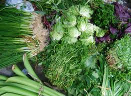 Các loại rau có lá xanh thẫm (rau ngót, rau đay, rau dền, rau muống, rau khoai lang, kinh giới, xương sông, lá lết, rau thơm, cà rết... các loại quả mầu vàng, da cam (gấc, đu đủ chín, hồng, xoài, mít, dứa...) là thức ǎn có nhiều b-caroten (tiền vitamin A).(Ảnh: IN) Xem thêm: Những "thực phẩm vàng" giúp chị em tươi trẻ, phòng ngừa bệnh phụ nữ/ Dứa: ngon, rẻ, giàu vitamin C, chất xơ...tốt cho bé và cả ông bà Các loại rau có lá xanh thẫm (rau ngót, rau đay, rau dền, rau muống, rau khoai lang, kinh giới, xương sông, lá lết, rau thơm, cà rết... các loại quả mầu vàng, da cam (gấc, đu đủ chín, hồng, xoài, mít, dứa...) là thức ǎn có nhiều b-caroten (tiền vitamin A).(Ảnh: IN) Xem thêm: Những "thực phẩm vàng" giúp chị em tươi trẻ, phòng ngừa bệnh phụ nữ/ Dứa: ngon, rẻ, giàu vitamin C, chất xơ...tốt cho bé và cả ông bà