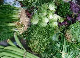 Các loại rau có lá xanh thẫm (rau ngót, rau đay, rau dền, rau muống, rau khoai lang, kinh giới, xương sông, lá lết, rau thơm, cà rết... các loại quả mầu vàng, da cam (gấc, đu đủ chín, hồng, xoài, mít, dứa...) là thức ǎn có nhiều b-caroten (tiền vitamin A).(Ảnh: IN) Xem thêm: Những "thực phẩm vàng" giúp chị em tươi trẻ, phòng ngừa bệnh phụ nữ/ Dứa: ngon, rẻ, giàu vitamin C, chất xơ...tốt cho bé và cả ông bà