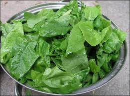 Các muối khoáng (natri, kali, canxi, phốt pho, magiê, lưu huỳnh, sắt, kẽm, mangan, iod, đồng), vitamin (C, B1, B2, B6, PP, E, K, axit folic, vitamin A), chất diệp lục , amino axit và chất xơ đều ẩn chứa trong rau bina. (Ảnh: IN) Xem thêm: Những "thực phẩm vàng" giúp chị em tươi trẻ, phòng ngừa bệnh phụ nữ/ Dứa: ngon, rẻ, giàu vitamin C, chất xơ...tốt cho bé và cả ông bà Các muối khoáng (natri, kali, canxi, phốt pho, magiê, lưu huỳnh, sắt, kẽm, mangan, iod, đồng), vitamin (C, B1, B2, B6, PP, E, K, axit folic, vitamin A), chất diệp lục , amino axit và chất xơ đều ẩn chứa trong rau bina. (Ảnh: IN) Xem thêm: Những "thực phẩm vàng" giúp chị em tươi trẻ, phòng ngừa bệnh phụ nữ/ Dứa: ngon, rẻ, giàu vitamin C, chất xơ...tốt cho bé và cả ông bà