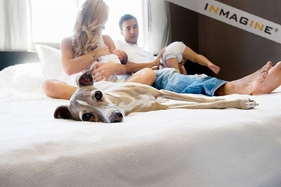 Kiểm soát lông vật nuôi: Vật nuôi cho dù được chúng ta yêu quý đến đâu chăng nữa thì lông của chúng cũng khiến nhà bị bụi bẩn và ẩm ướt. Sẽ khó khăn hơn cho bạn trong việc giữ gìn không khí được sạch sẽ nếu có nuôi một con vật nào đó trong nhà. (Ảnh: MG) Xem thêm: Ăn những thực phẩm này, coi chừng bị "tẩy chay" vì... hôi miệng Kiểm soát lông vật nuôi: Vật nuôi cho dù được chúng ta yêu quý đến đâu chăng nữa thì lông của chúng cũng khiến nhà bị bụi bẩn và ẩm ướt. Sẽ khó khăn hơn cho bạn trong việc giữ gìn không khí được sạch sẽ nếu có nuôi một con vật nào đó trong nhà. (Ảnh: MG) Xem thêm: Ăn những thực phẩm này, coi chừng bị "tẩy chay" vì... hôi miệng