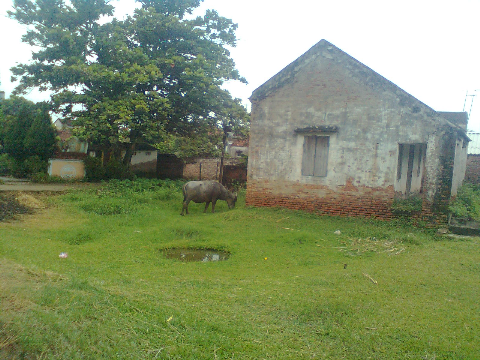 Một góc chân quê Một góc chân quê