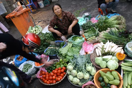Rau tưới bằng nước bẩn rất dễ mang trùng Amip (ảnh minh họa).