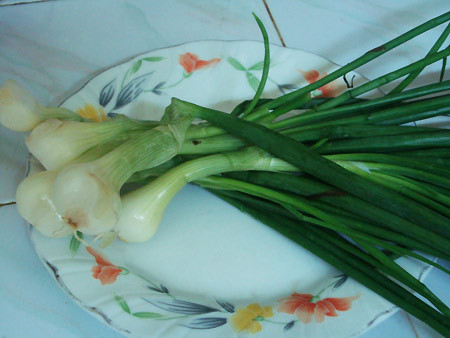 Dùng cây hành cả rễ, thân, lá một nắm đem nướng chín giã nát rồi đắp vào vết thương do ngã hoặc bị đánh mà bầm dập, đau đớn rất hiệu nghiệm. Dùng cây hành cả rễ, thân, lá một nắm đem nướng chín giã nát rồi đắp vào vết thương do ngã hoặc bị đánh mà bầm dập, đau đớn rất hiệu nghiệm.