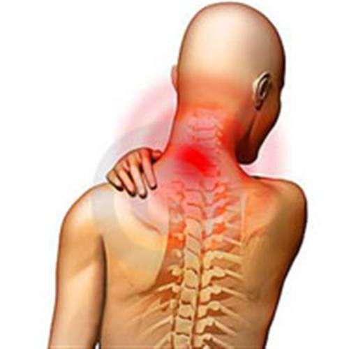 Bộ phận nào của cơ thể phụ nữ bị lão hóa nhanh nhất? ảnh 8 Bộ phận nào của cơ thể phụ nữ bị lão hóa nhanh nhất? ảnh 8