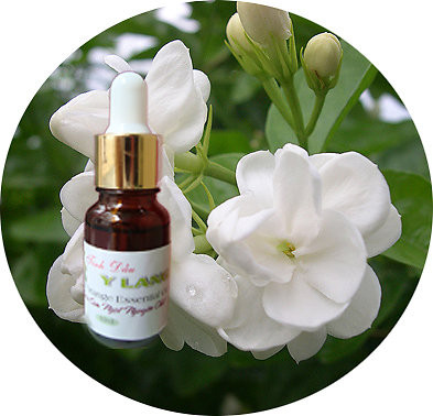 3. Hoa nhài: Mỗi khi cảm thấy mệt mỏi do áp lực cuộc sống, bạn hãy sử dụng tinh dầu hoa nhài để giải tỏa tâm trạng. Chỉ cần bôi một ít tinh dầu hoa nhài phía sau tai hoặc trên cổ tay sẽ khiến bạn có thêm năng lượng và vượt qua cơn mệt mỏi. 3. Hoa nhài: Mỗi khi cảm thấy mệt mỏi do áp lực cuộc sống, bạn hãy sử dụng tinh dầu hoa nhài để giải tỏa tâm trạng. Chỉ cần bôi một ít tinh dầu hoa nhài phía sau tai hoặc trên cổ tay sẽ khiến bạn có thêm năng lượng và vượt qua cơn mệt mỏi.