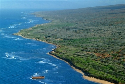 Larry Ellison: Hồi tháng 6/2012, nhà sáng lập Oracle Larry Ellison đã mua 98% hòn đảo Lanai. Với diện tích 365 km vuông, Lanai là hòn đảo to thứ sáu trong quần đảo Hawai (Mỹ). Món bất động sản này khiến Larry Ellison phải tiêu tốn từ 500 – 600 triệu USD, một con số không đáng kể nếu tính đến tổng tài sản cá nhân của Ellison hiện vào khoảng hơn 31 tỷ USD. Larry Ellison: Hồi tháng 6/2012, nhà sáng lập Oracle Larry Ellison đã mua 98% hòn đảo Lanai. Với diện tích 365 km vuông, Lanai là hòn đảo to thứ sáu trong quần đảo Hawai (Mỹ). Món bất động sản này khiến Larry Ellison phải tiêu tốn từ 500 – 600 triệu USD, một con số không đáng kể nếu tính đến tổng tài sản cá nhân của Ellison hiện vào khoảng hơn 31 tỷ USD.