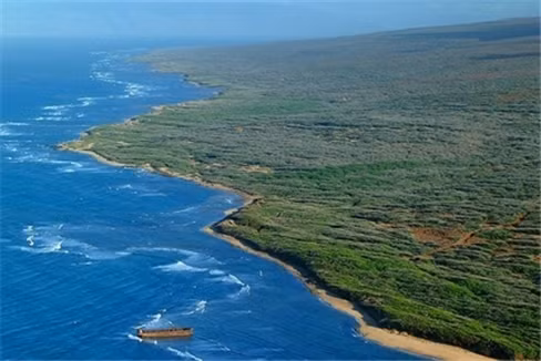 Larry Ellison: Hồi tháng 6/2012, nhà sáng lập Oracle Larry Ellison đã mua 98% hòn đảo Lanai. Với diện tích 365 km vuông, Lanai là hòn đảo to thứ sáu trong quần đảo Hawai (Mỹ). Món bất động sản này khiến Larry Ellison phải tiêu tốn từ 500 – 600 triệu USD, một con số không đáng kể nếu tính đến tổng tài sản cá nhân của Ellison hiện vào khoảng hơn 31 tỷ USD.