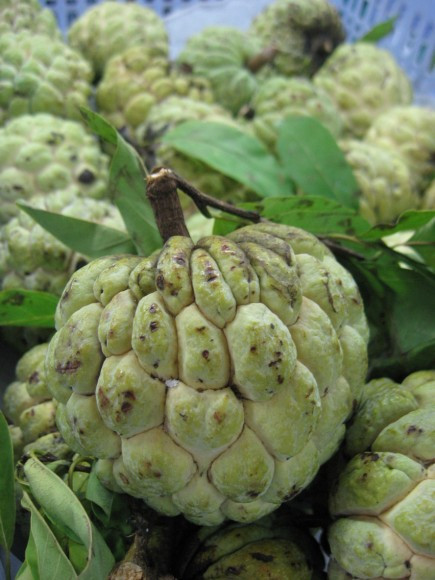 Na vừa là loại quả ngọt thơm, bổ dưỡng lại vừa là vị thuốc chữa bệnh rất tốt. Theo Đông y, quả na vị ngọt, chua, tính ấm; có tác dụng hạ khí tiêu đờm. Quả xanh làm săn da, tiêu sưng.