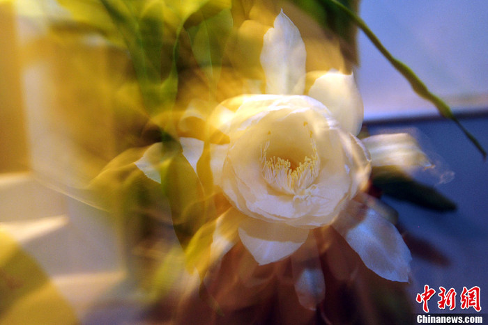 ... và dễ chịu. ... và dễ chịu.