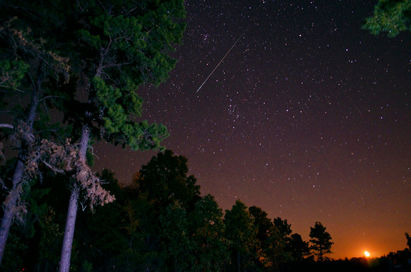 Một vệt sao rơi trong trận mưa sao băng Perseid ở Arkansas, Mỹ. Một vệt sao rơi trong trận mưa sao băng Perseid ở Arkansas, Mỹ.