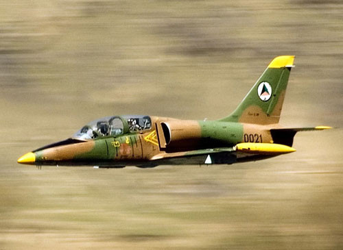 Máy bay chống tăng L-39 của Séc- Ảnh: Militaryfactory