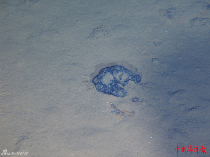 Chụp lại hình ảnh kết hạch (kết vón) dưới đáy biển. Chụp lại hình ảnh kết hạch (kết vón) dưới đáy biển.