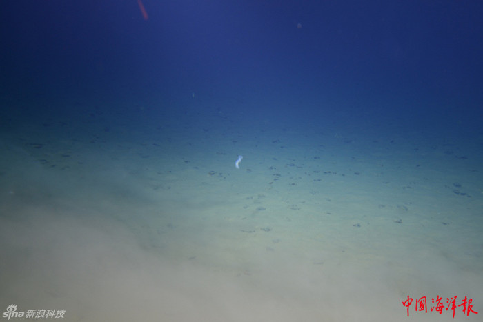 Đáy biển. Đáy biển.