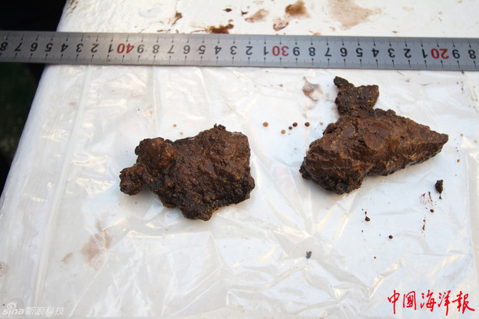 Mẫu vật thu được từ đáy biển. Mẫu vật thu được từ đáy biển.