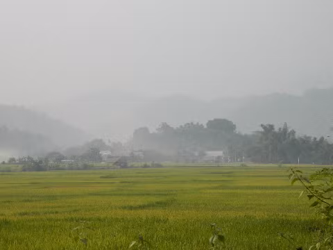 Cánh đồng Mai Châu.