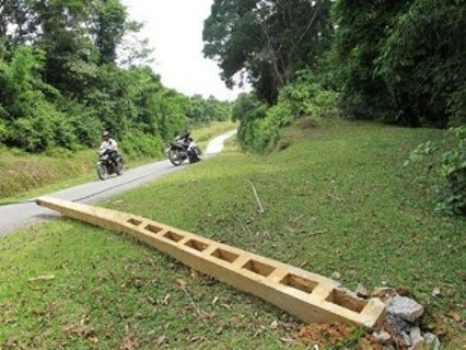 Nhiều cột điện và cột cáp viễn thông trên con đường dài 15km đi vào hai xã biên giới là Hương Điền và Hương Quang, huyện Vũ Quang đã bị bầy voi quật ngã khiến người dân tại đây rất hoang mang lo lắng.