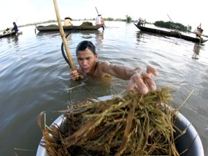 Người dân khi lội xuống ao hồ, để phòng bệnh amip ăn não người thì cần hạn chế không cho nước vào mũi. (Nguồn: TTXVN)