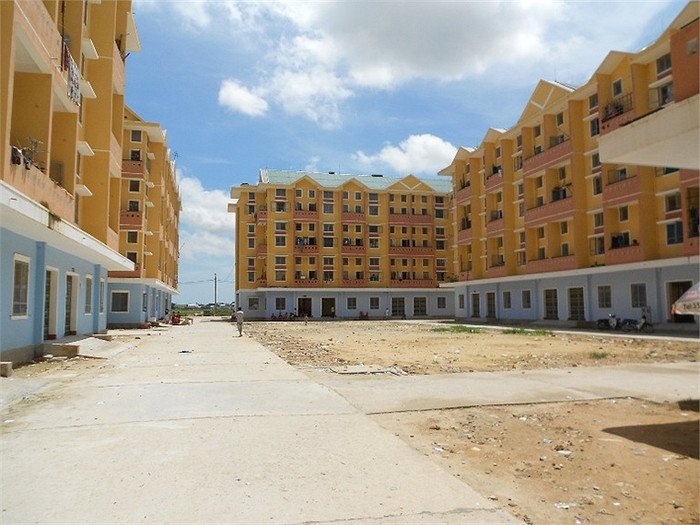Khu tái định cư phường Hương Sơ (TP.Huế) nơi mà côn trùng lạ xuất hiện Khu tái định cư phường Hương Sơ (TP.Huế) nơi mà côn trùng lạ xuất hiện
