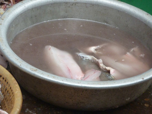 Khi đã lọc xong, tất cả cá được rửa qua loa trong chậu nước này.