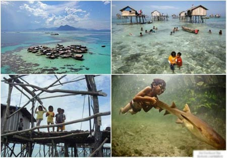 Ngoài ra, họ cũng còn là những thợ lặn có tay nghề cao. Họ có thể lặn sâu 30m hoặc hơn nữa để săn cá, tìm ngọc trai hay hải sâm - những tài nguyên biển quý giá. Để làm được điều đó, những đứa trẻ Bajau buộc phải được làm thủng màng nhĩ từ rất nhỏ.