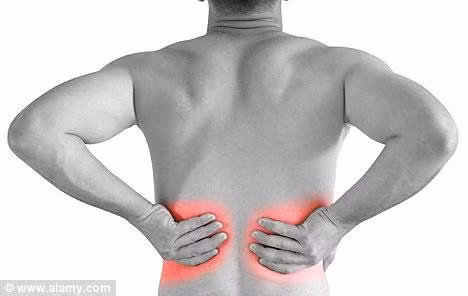 2. Cơ và xương: Tuổi già gây yếu và thoái hóa xương, đồng thời gây mất cơ. 2. Cơ và xương: Tuổi già gây yếu và thoái hóa xương, đồng thời gây mất cơ.