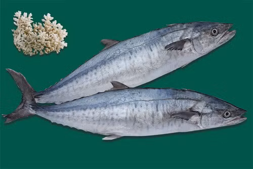 Giải pháp: Bổ sung bằng cá thu, cá bơn, dầu gan cá, lòng đỏ trứng, dầu thực vật là những thứ giàu vitamin.