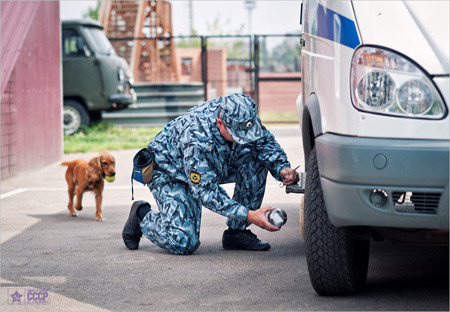 Huấn luyện viên lấy chất nổ ra và động viên chú chó bằng việc cho chú nô đùa cùng 1 quả bóng, thay vì bằng thức ăn. Huấn luyện viên lấy chất nổ ra và động viên chú chó bằng việc cho chú nô đùa cùng 1 quả bóng, thay vì bằng thức ăn.