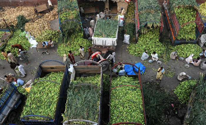 Các nông dân chờ khách hàng trong lúc tập trung bên cạnh các xe tải chở bắp tại một khu chợ ở Lahore, Ấn Độ, 03/09/2012. Các nông dân chờ khách hàng trong lúc tập trung bên cạnh các xe tải chở bắp tại một khu chợ ở Lahore, Ấn Độ, 03/09/2012.