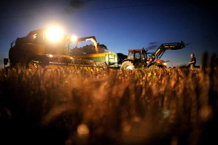 Cây lúa mì mùa Đông được chuyển lên thùng xe máy kéo từ một máy thu hoạch phức hợp ở Hanover-Wuelferode, Đức, 12/08/2012. Cây lúa mì mùa Đông được chuyển lên thùng xe máy kéo từ một máy thu hoạch phức hợp ở Hanover-Wuelferode, Đức, 12/08/2012.