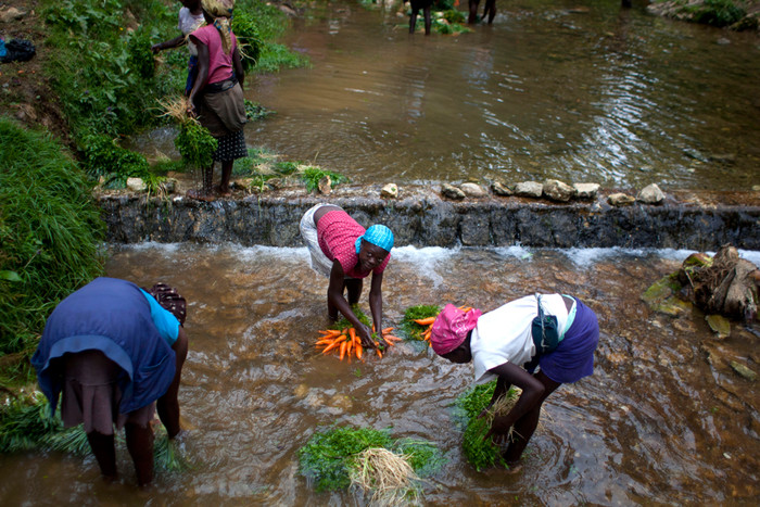 Những người bán hàng rửa rau củ tại một con sông ở Công viên quốc gia La Visite, Haiti, chuẩn bị mang đi bán tại một khu chợ dọc đường ở Port-au-Prince, 16/08/2012. Những người bán hàng rửa rau củ tại một con sông ở Công viên quốc gia La Visite, Haiti, chuẩn bị mang đi bán tại một khu chợ dọc đường ở Port-au-Prince, 16/08/2012.