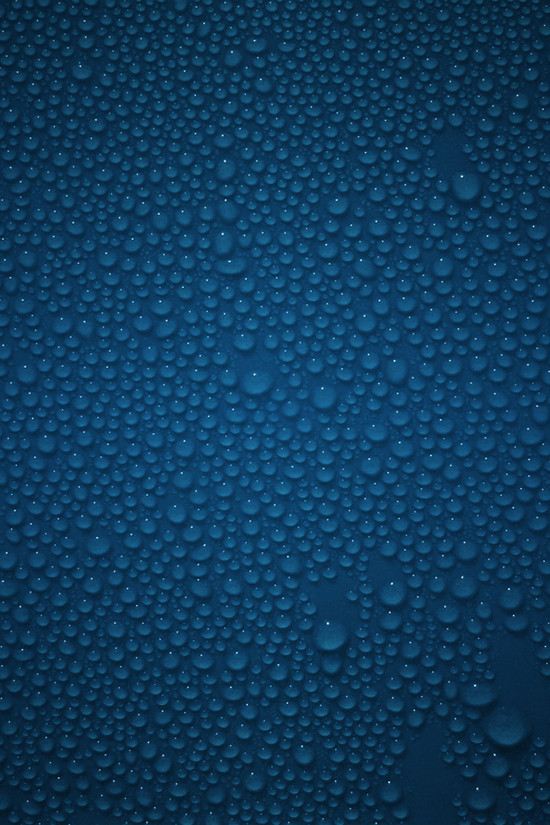 12 Dew Drops – iPhone Wallpaper 12 Dew Drops – iPhone Wallpaper