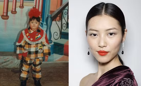 Liu Wen