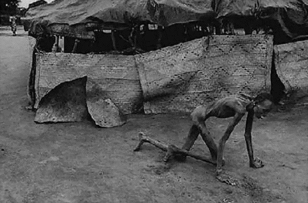 Số liệu năm 2012 tại "Hội nghị cấp cao về nạn đói" diễn ra ở London cho biết: Mỗi ngày, có 7.000 trẻ em thiệt mạng vì suy dinh dưỡng; tức là mỗi 60 giây, có khoảng 5 em bé qua đời, tập trung chủ yếu ở các nước đang phát triển. Sức mạnh ghê gớm của nạn đói đang thực sự đe dọa trực tiếp mạng sống của những mầm non, tương lai của thế giới. Số liệu năm 2012 tại "Hội nghị cấp cao về nạn đói" diễn ra ở London cho biết: Mỗi ngày, có 7.000 trẻ em thiệt mạng vì suy dinh dưỡng; tức là mỗi 60 giây, có khoảng 5 em bé qua đời, tập trung chủ yếu ở các nước đang phát triển. Sức mạnh ghê gớm của nạn đói đang thực sự đe dọa trực tiếp mạng sống của những mầm non, tương lai của thế giới.