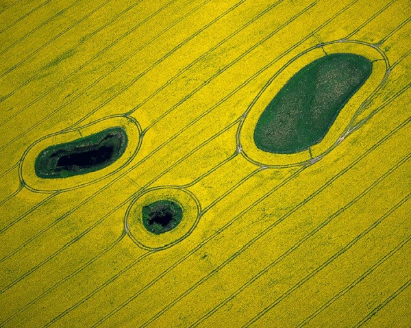 Hình ảnh đồng ruộng ở Mecklenburg, Đức. Những điểm màu xanh là vùng đất quá mềm và ẩm ướt, không canh tác được.