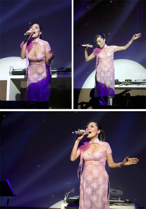 Mỹ Lệ cách điệu áo dài quá mức. Mỹ Lệ cách điệu áo dài quá mức.