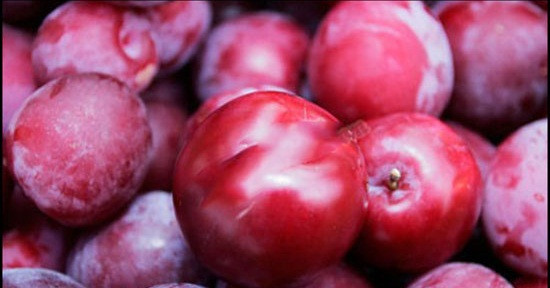 4. Mận tươi: Ngày 17/9, Bộ Nông nghiệp và Phát triển Nông thôn họp công bố những loại thực phẩm nhiễm hóa chất, ảnh hưởng chất lượng vệ sinh an toàn thực phẩm. Trong số những thực phẩm được công bố trong danh sách thì mận tươi nhập khẩu từ Trung Quốc có dư lượng thuốc bảo vệ thực vật vượt ngưỡng cho phép. 4. Mận tươi: Ngày 17/9, Bộ Nông nghiệp và Phát triển Nông thôn họp công bố những loại thực phẩm nhiễm hóa chất, ảnh hưởng chất lượng vệ sinh an toàn thực phẩm. Trong số những thực phẩm được công bố trong danh sách thì mận tươi nhập khẩu từ Trung Quốc có dư lượng thuốc bảo vệ thực vật vượt ngưỡng cho phép.